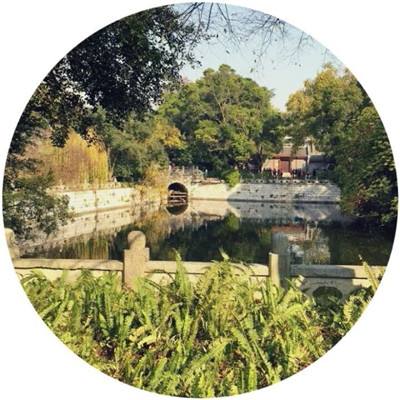 开局带麻痹bt版下载