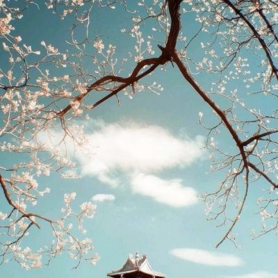 拆迁全面停止？已明确：2025年起，房龄20年的老房子统统这样处理