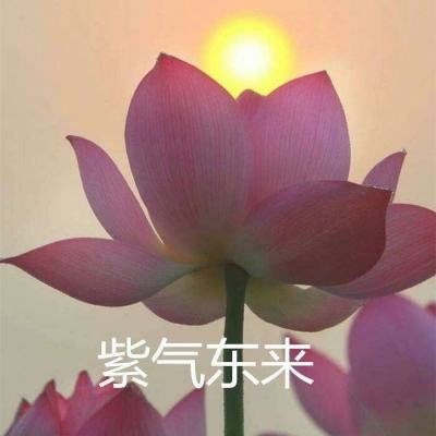 滑雪大冒险下载普通版